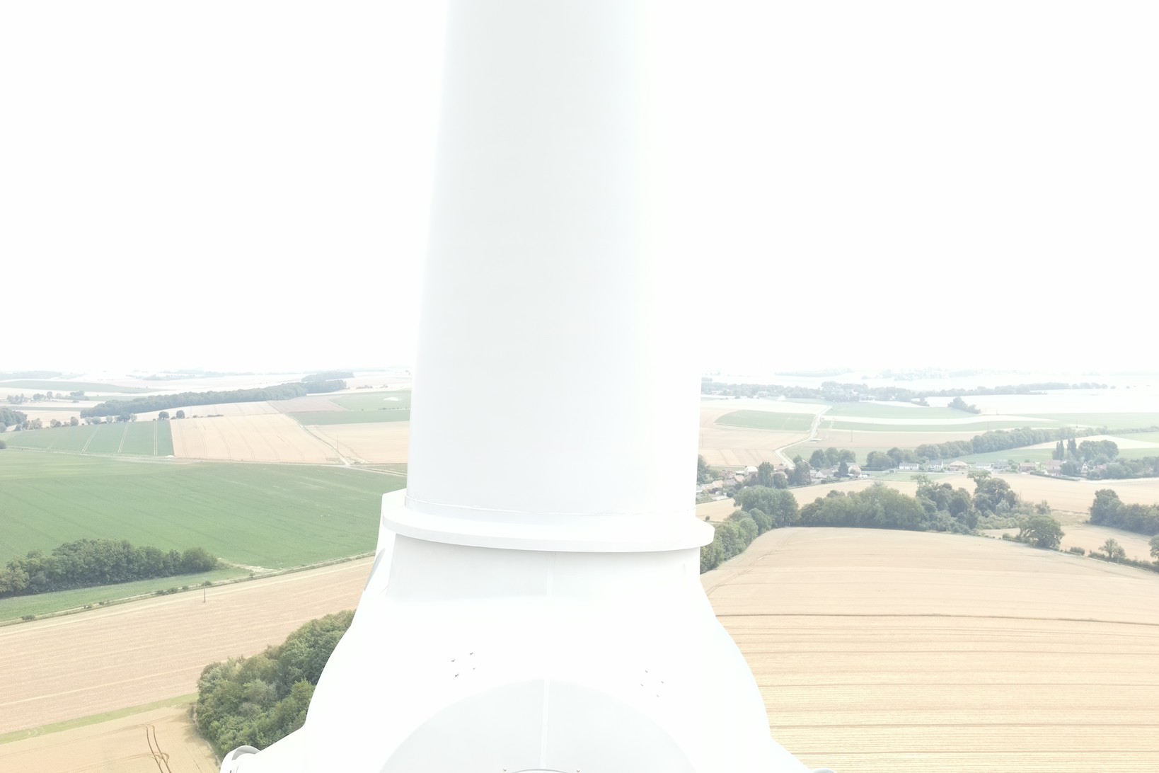 white image