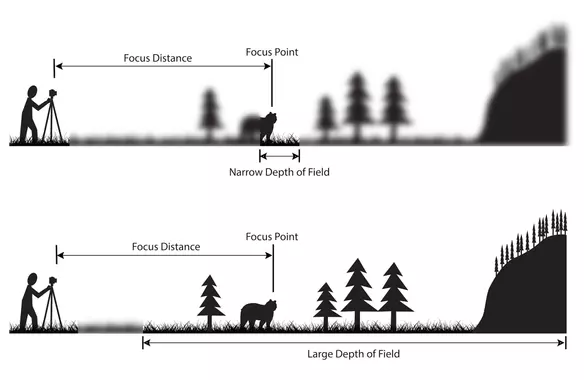 illustration focus distance