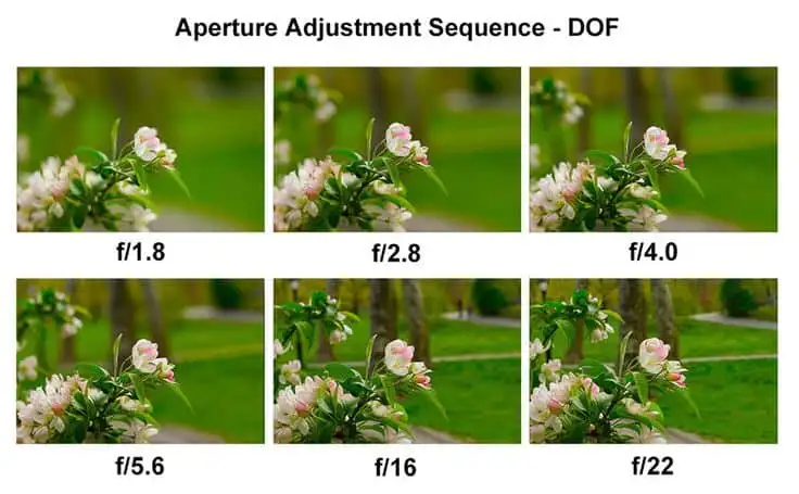 example portrait mode